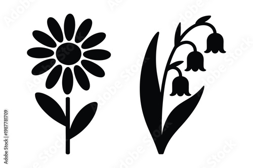 Daisy flower and lily of the valley bloom silhouettes vector illustration