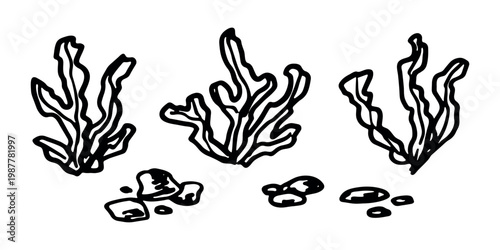 Hand drawn sea coral and seaweed doodle set Tropical underwater flora, aquarium plants, ocean plant, algae, coral reef, leaves, branches