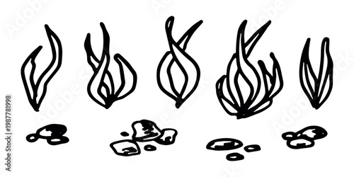 Hand drawn sea coral and seaweed doodle set Tropical underwater flora, aquarium plants, ocean plant, algae, coral reef, leaves, branches