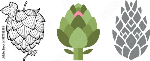 Vector Illustrations of Hops and Artichoke in Various Styles, Including Outline, Detailed, and Stylized Versions for Botanical and Creative Design Projects