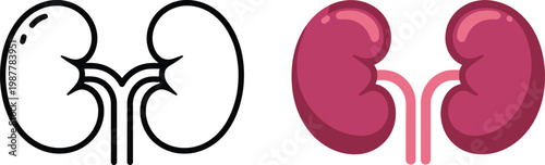 Human kidney vector icon set featuring silhouette and outline internal organ designs for medical education healthcare illustration and anatomical reference use