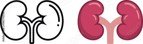Human kidney vector icon set featuring silhouette and outline internal organ designs for medical education healthcare illustration and anatomical reference use