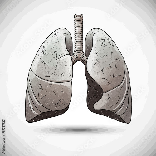Human Lungs Anatomy Illustration