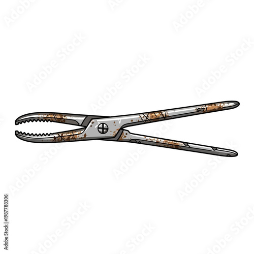 Rusty Pliers Tool