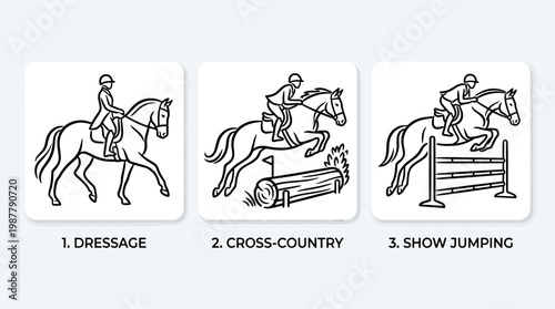 Equestrian Sports Dressage Cross-Country and Show Jumping