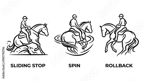 Equestrian Sports Sliding Stop Spin and Rollback