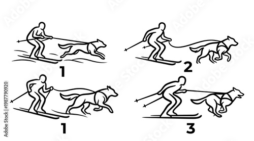 Dog Sledding Techniques Skiing with a Dog