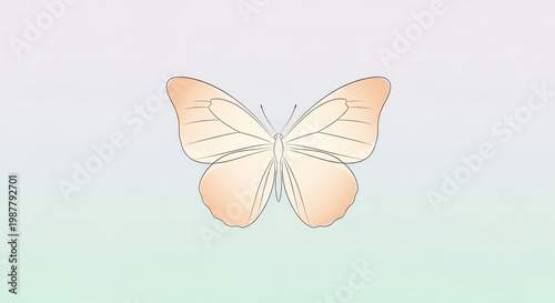Butterfly illustration with transparent background