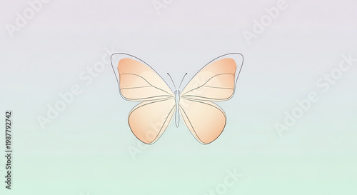 Butterfly illustration with transparent background