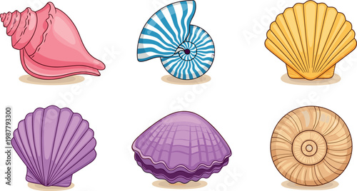 Colorful seashell collection flat vector illustration with scallop, conch, and spiral shells for marine design and summer decoration