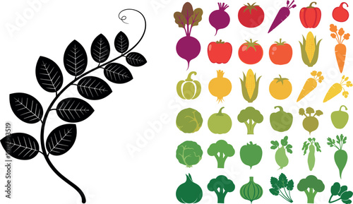 Vegetable Icons and Plant Vine with Leaves for Agricultural, Food, and Botanical Illustrations