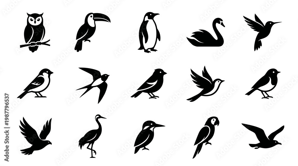 Fototapeta premium set of black bird silhouettes including owl toucan penguin swan and hummingbird isolated on white background, concept for nature logo design, wildlife branding and educational materials