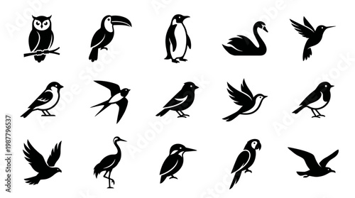 set of black bird silhouettes including owl toucan penguin swan and hummingbird isolated on white background, concept for nature logo design, wildlife branding and educational materials