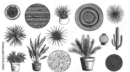 Collection of HandDrawn Potted Plants and Cacti Top View.
