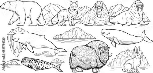 Arctic Wildlife Scene with Polar Bear, Arctic Fox, Walrus, Whale, Narwhal, Musk Ox, and Hare in Black and White Line Art