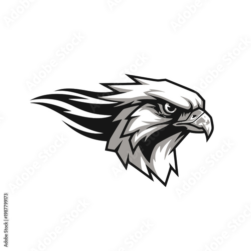 A graphic illustration of an eagle's head showcasing its feathers and beak in profile.