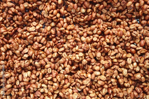 Close up of coffee beans drying in the sun