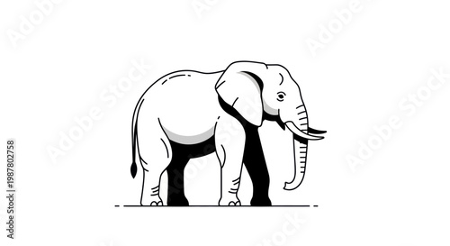 Black and white elephant standing alone.