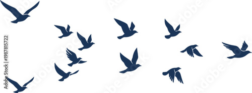 Flying bird silhouettes set, ducks or geese in motion with spread wings, black vector collection for wildlife, nature, sky, migration and freedom design use