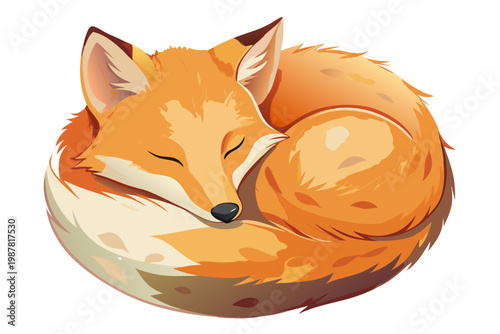 Cute sleeping fox curled up peacefully graphic illustration for storybooks or nature projects