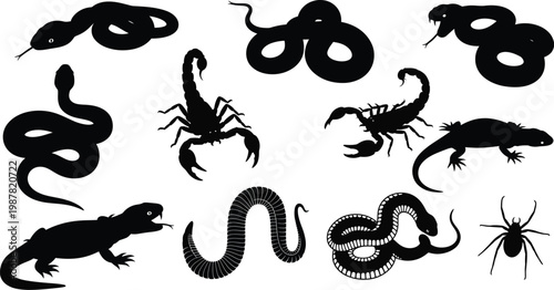 Collection of desert and dangerous animal silhouettes with black and white wild animal scorpions silhouette wildlife arachnid creature illustration collection venomous poisonous predator