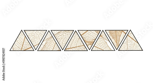 A horizontal arrangement of seven triangular shapes, each containing intricate patterns resembling dried leaf skeletons or delicate botanical veins, outlined in dark frames.
