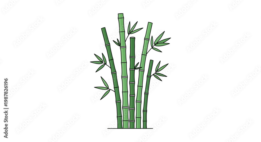 Obraz premium Green Bamboo Stalks with Leaves Isolated on White Background