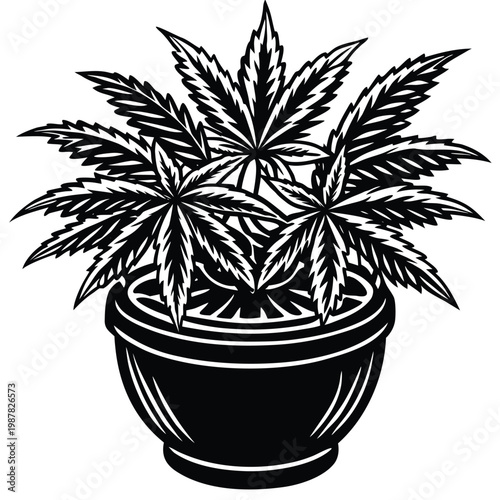 Coniferous forest. Trees set silhouette. Isolated tree on white background