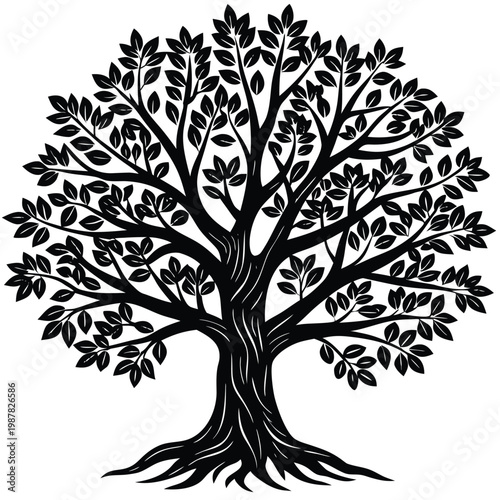 Coniferous forest. Trees set silhouette. Isolated tree on white background