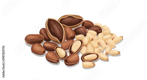 Assortment of pine nuts shown in various states including whole brown shells, partially cracked open, and fully shelled cream colored kernels on white.