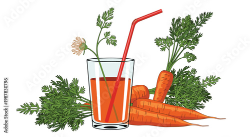 Glass filled with carrot juice and a straw is surrounded by several whole carrots with green leafy tops in a detailed drawing.