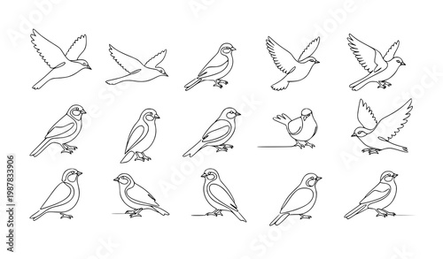Canvas Print Continuous one line birds vector set minimalist outline flying perched bird line