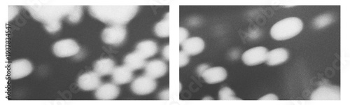 Vintage distressed old photo light leaks, film grain, dust and scratches transparent texture overlay with vignette border.