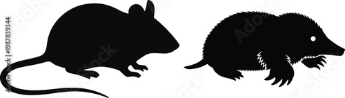 Flat vector illustration of mouse silhouette and mole silhouette side by side, rodent and insectivore comparison, isolated small animal design