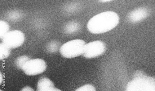 Shadow and Light Overlay Background. Sunlight Effect of Tree Leaves and Sun on the Wall. Transparent Plant Shadows