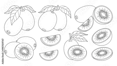 Detailed kiwi fruit sketches showing whole fruit and sliced sections with seeds highlight healthy snacks and tropical food themes.
