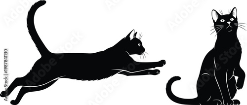Flat vector illustration of two cat silhouettes, leaping and sitting posture comparison, feline behavior design, domestic pet artwork, isolated animal