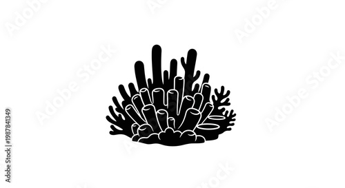 Black Silhouette of Coral Reef Branching Plant on White Background