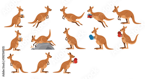 Variety of kangaroo illustrations in different active poses such as jumping, boxing, and carrying gifts or wearing gloves.