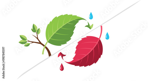 A sharp diagonal division separates a healthy vibrant green leaf dripping with water from a dark red leaf shedding thick crimson blood-like droplets.