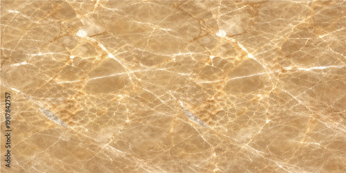 Intricate veins weave across the smooth surface, revealing the natural beauty and timeless elegance. The close-up view accentuates the rich textures.