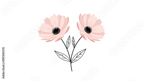 Elegant pair of soft pink flowers on a single branched stem with delicate leaves illustrated on a clean white background.