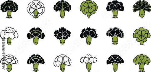 Various cauliflower in black white and green vegetables