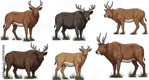Isolated vector illustration set of wild animal silhouettes featuring a cute cartoon deer, majestic reindeer with antlers, and a black stag stag elk in a nature wildlife design on white