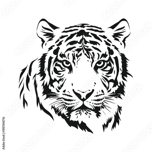 Black and white tiger face illustration hand drawn vector art