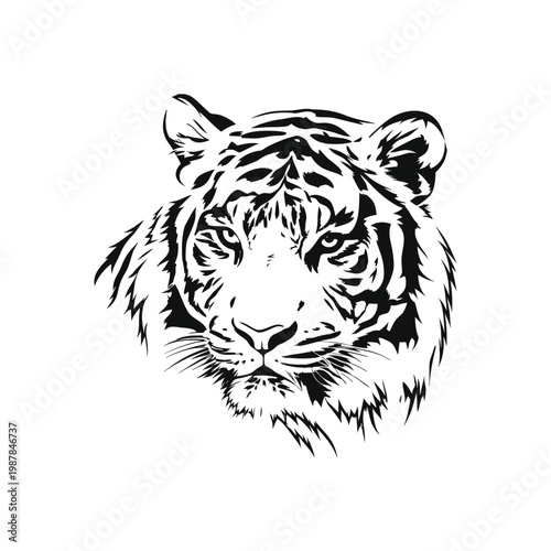 Black and white tiger face illustration hand drawn vector art