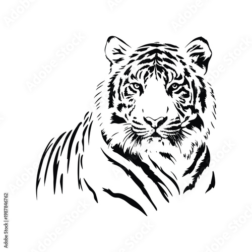 Black and white tiger face illustration hand drawn vector art