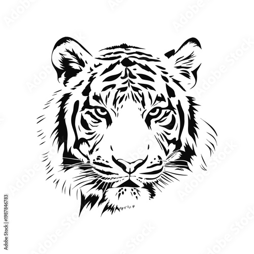 Black and white tiger face illustration hand drawn vector art