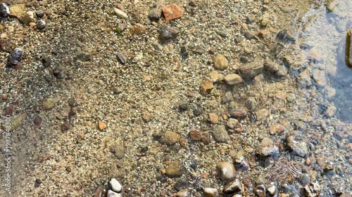 Clear Water Flowing Over Pebbles in Kenrokuen Garden Stream