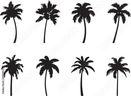 Black palm tree silhouettes set.